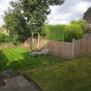 Photo 9: Rear Garden