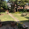 Photo 6: Large sunny garden 
