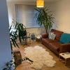 Photo 7: Living room