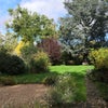 Photo 2: garden - shared with our house