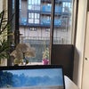 Photo 7: Workstation 
