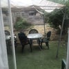 Photo 8: Garden