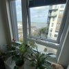 Photo 2: View from the Living room