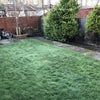 Photo 5: The garden 
