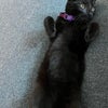 Photo 7: Luna