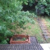 Photo 5: Garden