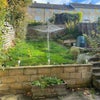 Photo 4: Garden