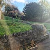 Photo 2: Shared garden