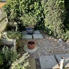 Photo 7: Part of the back garden
