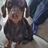 Photograph of Gemma 
