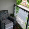 Photo 4: Leafy balcony