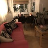 Photo 7: Living Room