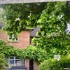 Photo 2: detached house