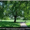 Photo 10: Beautiful Southwark Park …..5 min 