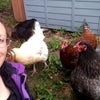 Photo 4: Big Bertha my hefty chicken love.