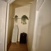 Photo 5: Walk in storage room, - to give you a rough idea of size, that's a standard ironing board and a medi