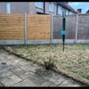 Photo 6: Garden