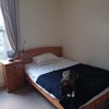 Photo 2: Adi on the bed 
