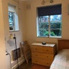 Photo 3: Bedroom view