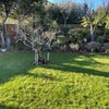Photo 7: Garden