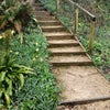 Photo 7: steps to parking area
