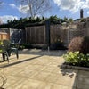 Photo 8: South facing garden - sun trap