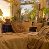 Photo 5: nook in the evenings is a sight to behold