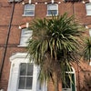 Photo 7: House 