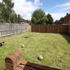 Photo 7: Large Garden