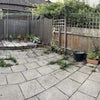 Photo 5: Garden or Patio