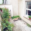 Photo 7: Garden area