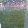 Photo 5: Garden