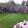 Photo 3: garden