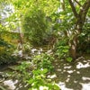 Photo 6: Garden infront of room
