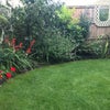 Photo 9: Garden