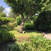 Photo 9: Garden