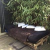 Photo 6: Garden or Patio
