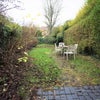 Photo 10: Garden 