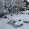 Photo 2: Garden & Snow