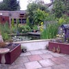 Photo 8: Garden