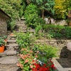 Photo 4: Extensive Mature Gardens