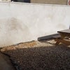 Photo 3: rear garden area
