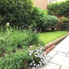 Photo 7: The back garden
