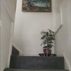 Photo 5: Hall