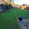 Photo 6: Garden