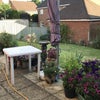 Photo 3: Back garden with shelter, garage & shed