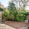 Photo 8: Private garden with BBQ, table, chairs and shed
