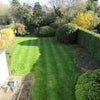 Photo 8: Garden - Maintained by gardener