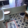 Photo 3: bathroom with shower over bath