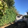 Photo 6: garden
